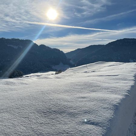 Hotel Garni Oberdorfer Stuben Obermaiselstein Eksteriør bilde