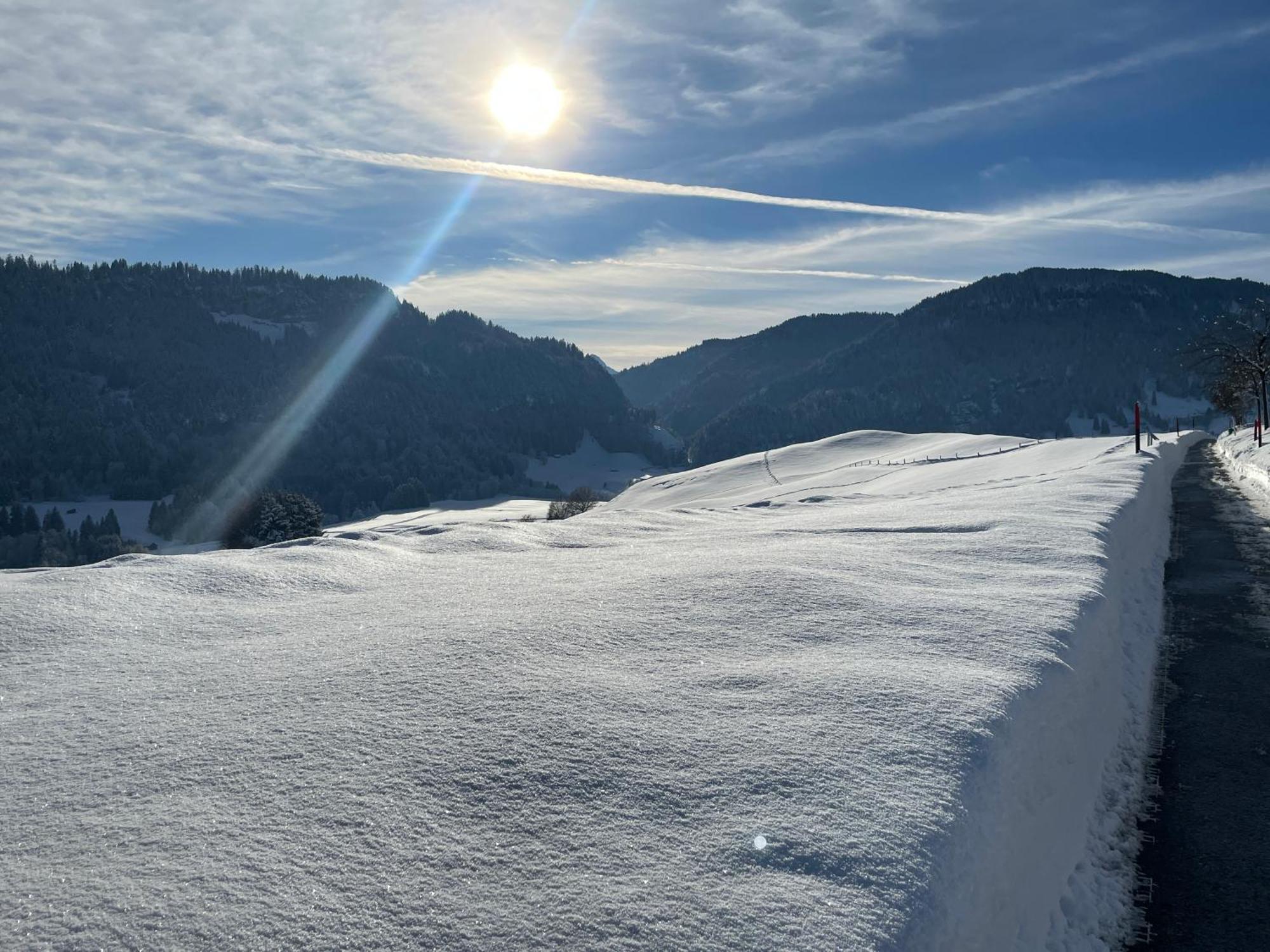 Hotel Garni Oberdorfer Stuben Obermaiselstein Eksteriør bilde