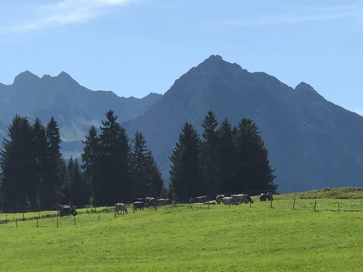 Hotel Garni Oberdorfer Stuben Obermaiselstein Eksteriør bilde